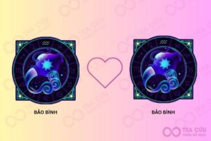Bảo Bình và Bảo Bình có gì hợp nhau không?
