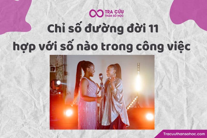 Chỉ số đường đời 11 hợp với số nào trong công việc Chỉ số đường đời 11 hợp với số nào trong công việc