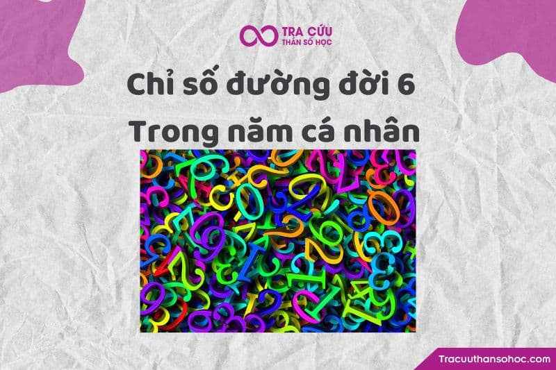 Chỉ số đường đời 6 trong năm cá nhân Chỉ số đường đời 6 trong năm cá nhân