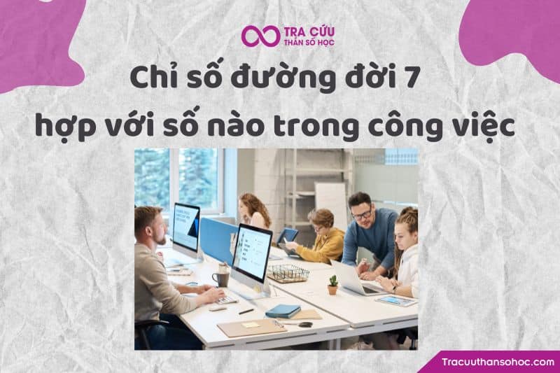 Chỉ số đường đời 7 hợp với số nào trong công việc Chỉ số đường đời 7 hợp với số nào trong công việc