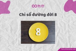 Chỉ số đường đời 8 là gì? Đặc điểm tính cách, tình duyên và sự nghiệp số chủ đạo 8