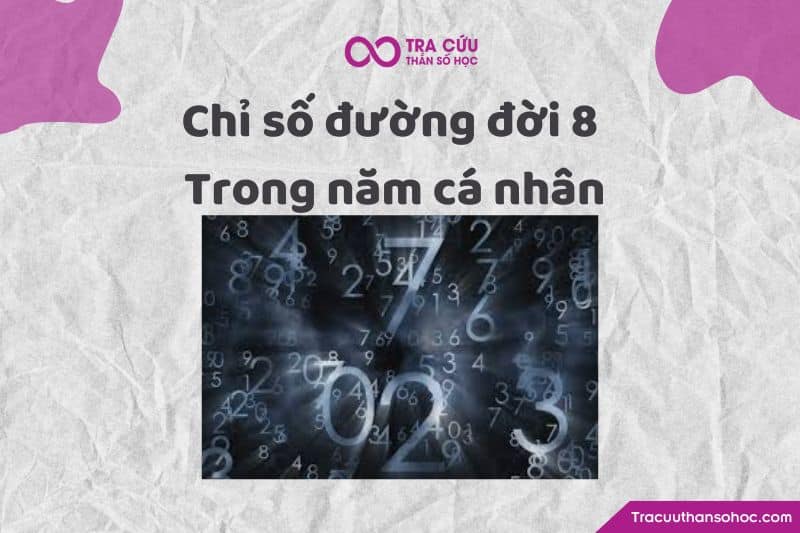Chỉ số đường đời 8 trong năm cá nhân Chỉ số đường đời 8 trong năm cá nhân