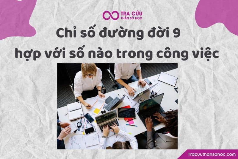 Chỉ số đường đời 9 hợp với số nào trong công việc Chỉ số đường đời 9 hợp với số nào trong công việc