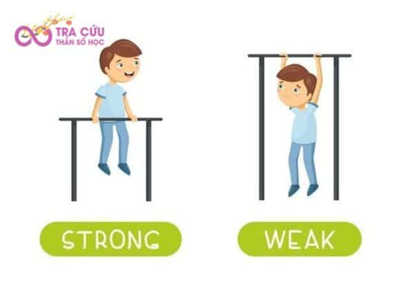 Nhóm người bảo hộ (ESTJ) có những điểm mạnh và hạn chế nhất định Nhóm người bảo hộ (ESTJ) có những điểm mạnh và hạn chế nhất định