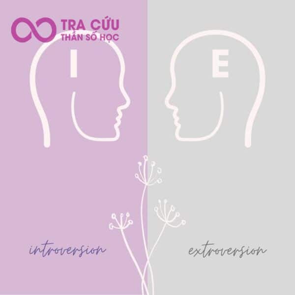 Đặc điểm của các nhóm tính cách trong MBTI hướng nội và MBTI hướng ngoại Đặc điểm của các nhóm tính cách trong MBTI hướng nội và MBTI hướng ngoại